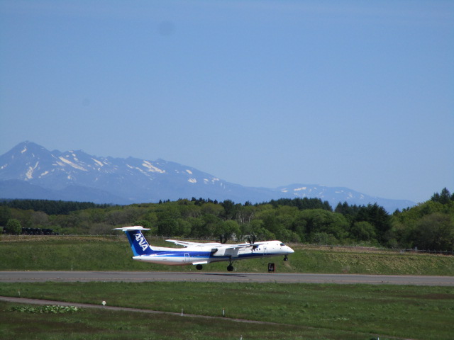 20240602_095306.JPG