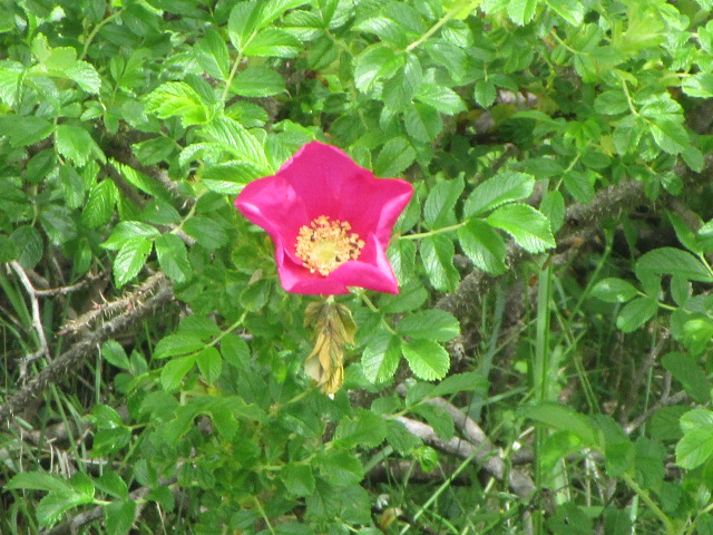 20240611_095614.JPG