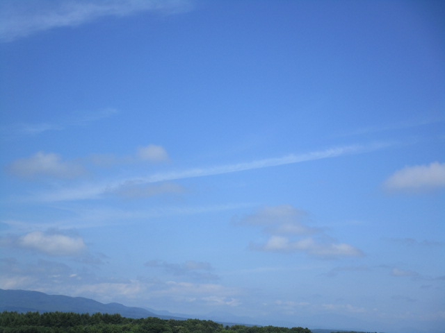 20240727_145739.JPG
