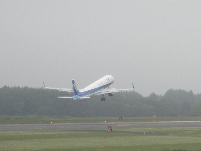20240801_155212.JPG