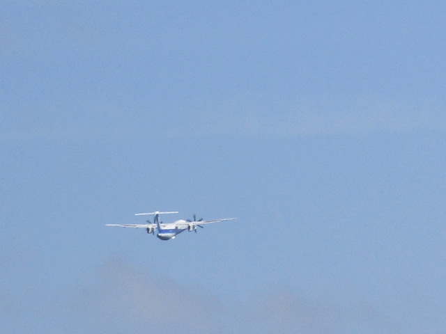 20240809_095633.JPG