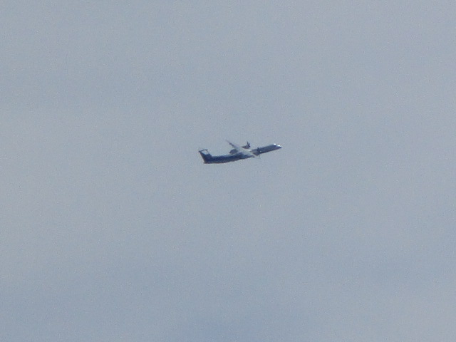 20240903_094535.JPG