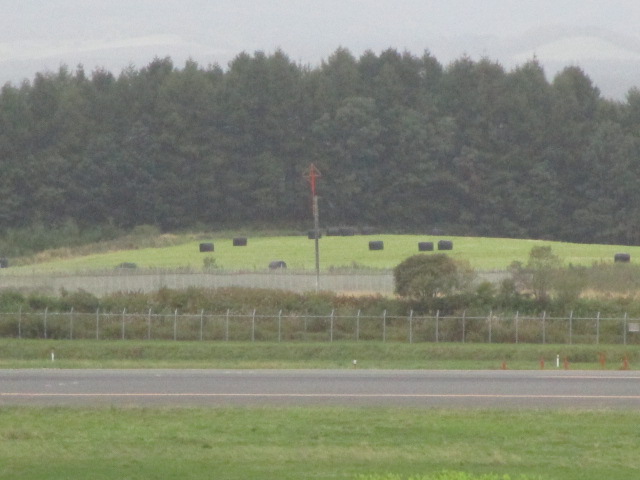 20240920_103739.JPG