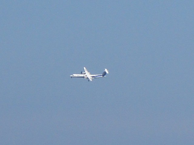 20241002_131624.JPG