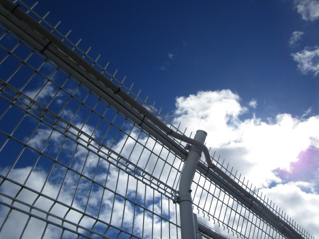 20241005_101543.JPG