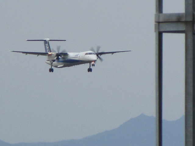 20241102_091013.JPG