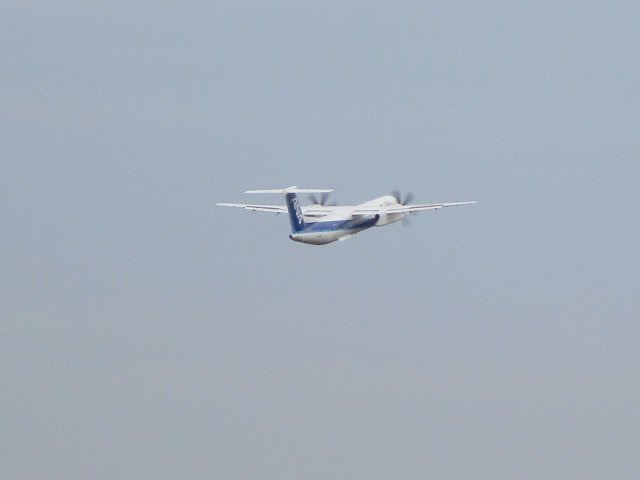 20241102_094509.JPG