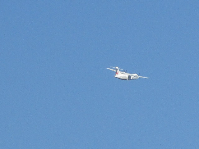 20241110_113205.JPG