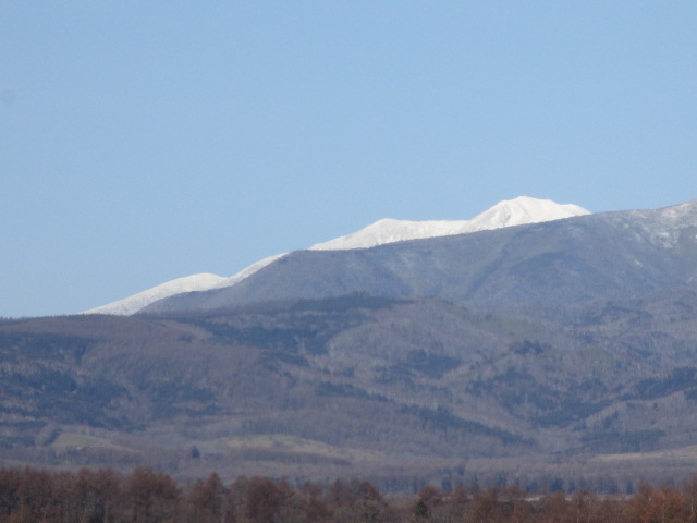 20241126_095747.JPG