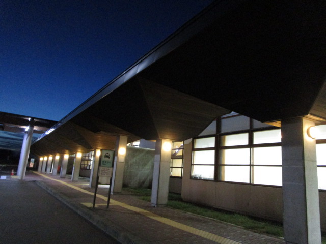 20241126_163507.JPG