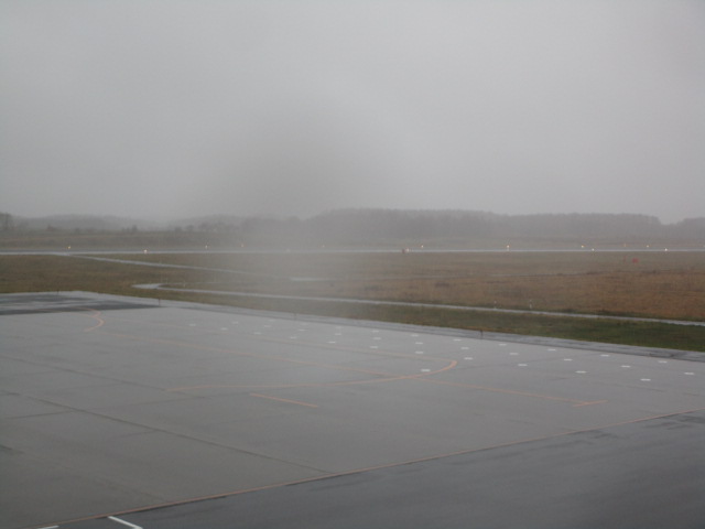 20241127_095026.JPG