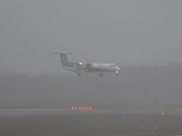 20241127_095051.JPG
