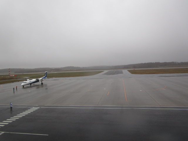 20241127_095133.JPG