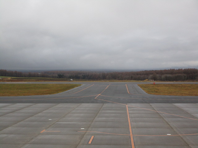 20241128_095433.JPG
