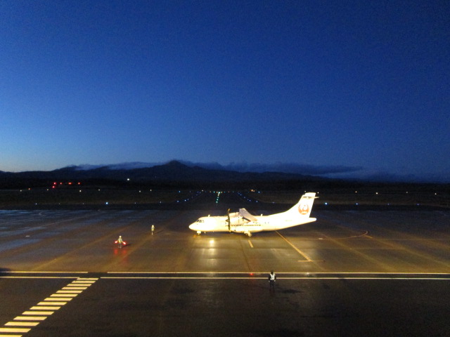20241128_164130.JPG