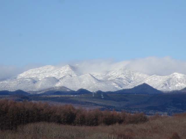 20241129_114358.JPG