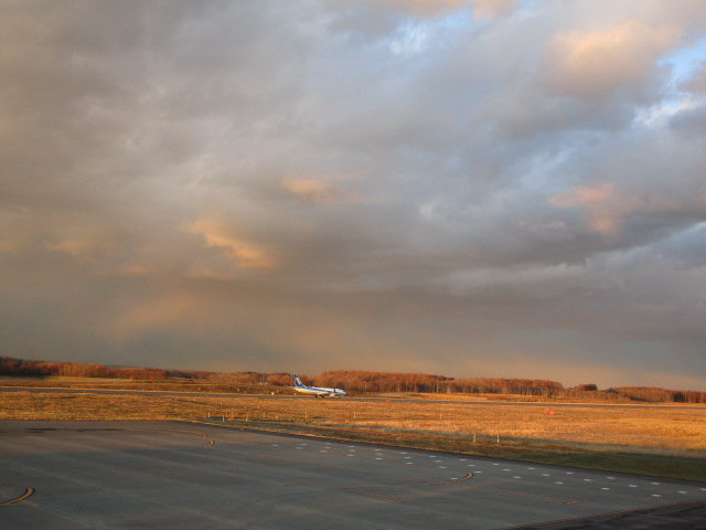 20241129_161056.JPG
