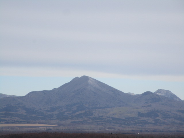 20241130_100423.JPG