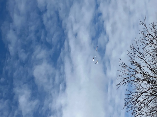 20241130_101520.jpg