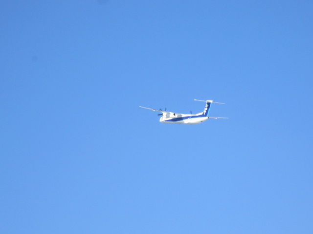 20250103_100053.JPG