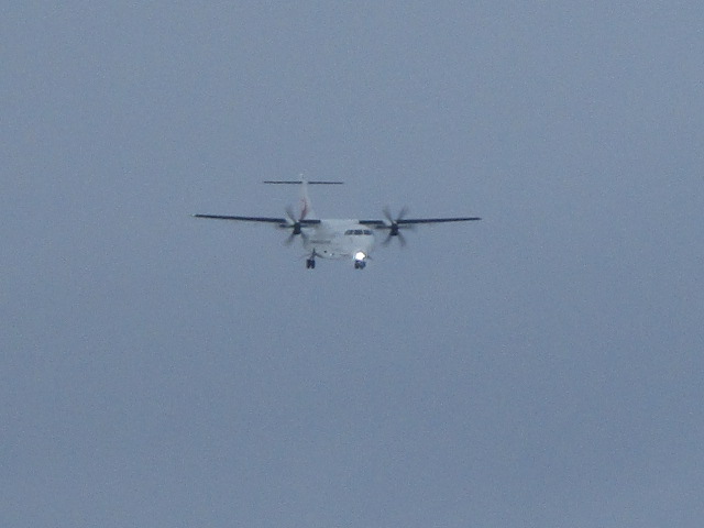 20250106_144910.JPG
