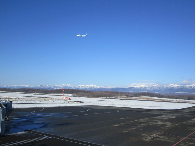 20250120_101326.JPG