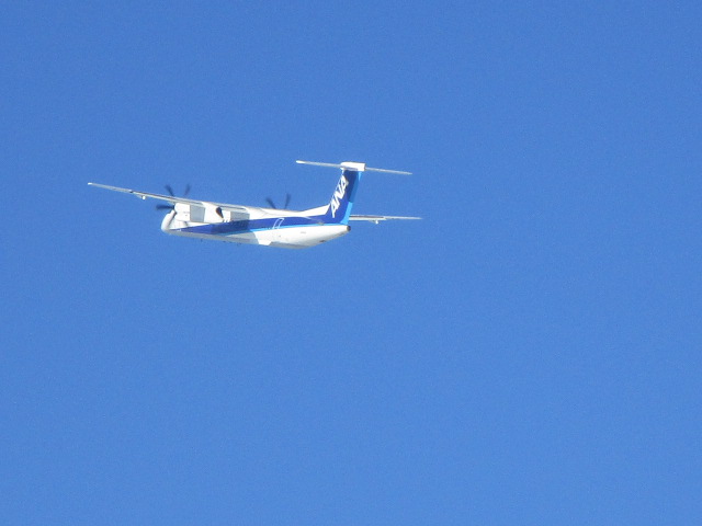 20250120_101344.JPG