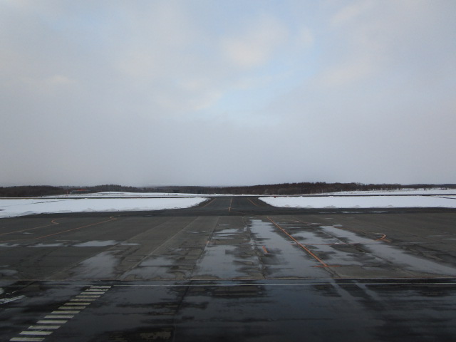 20250127_161023.JPG