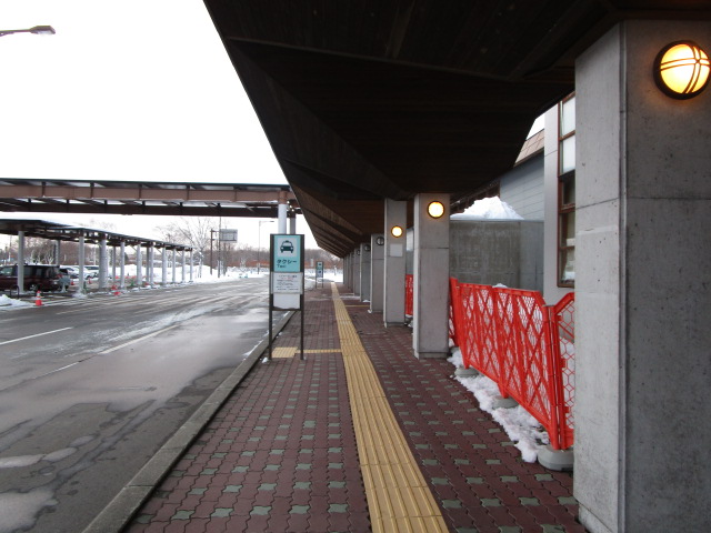20250127_161240.JPG