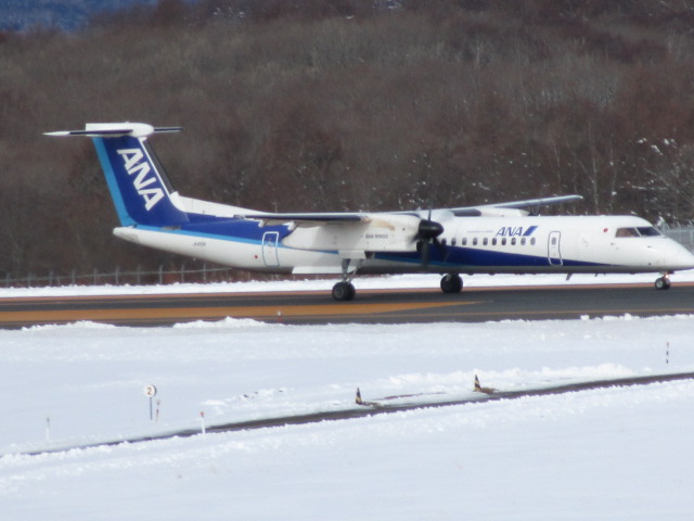 20250128_094243.JPG