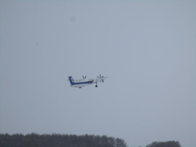 20250209_095614.JPG