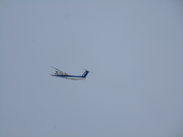 20250210_094820.JPG