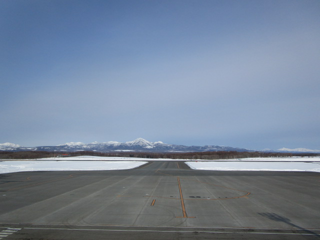 20250212_101002.JPG