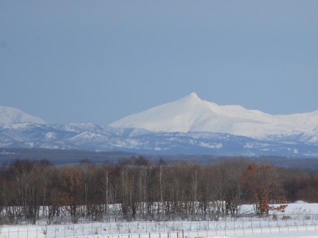 20250212_101125.JPG