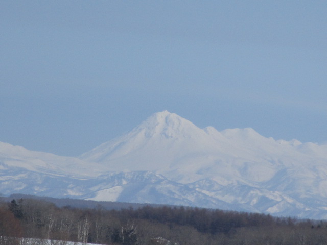 20250216_095901.JPG