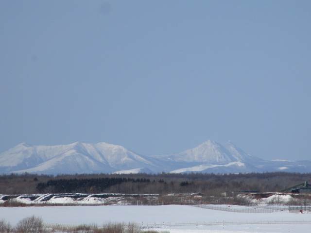 20250216_095929.JPG