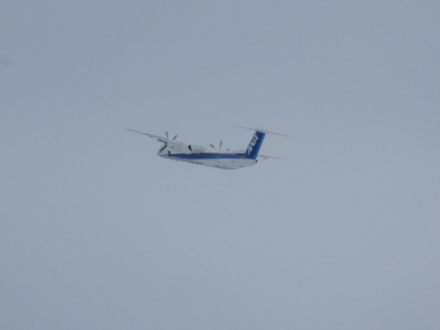 20250217_101212.JPG