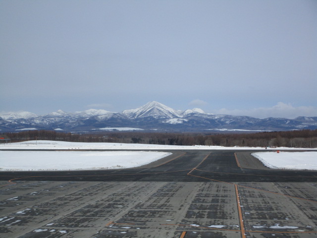 20250218_094715.JPG