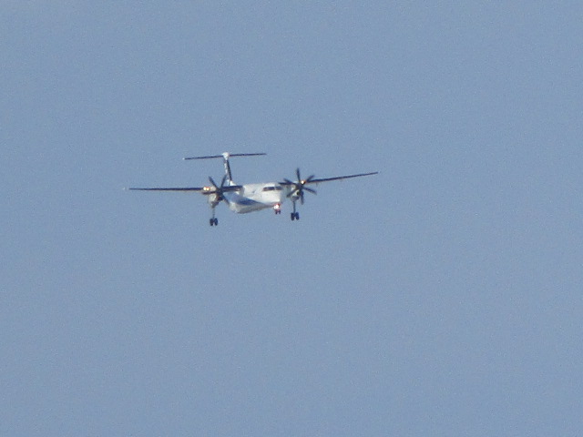 20250218_094748.JPG