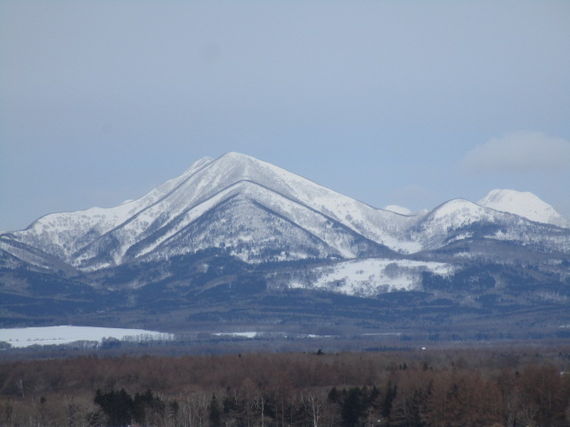 20250218_095400.JPG