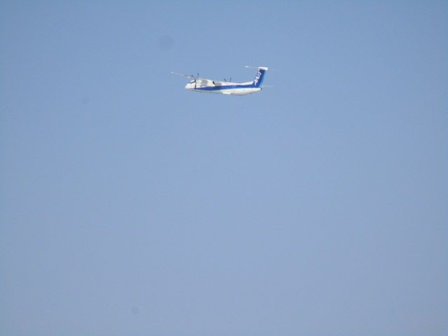 20250301_100729.JPG