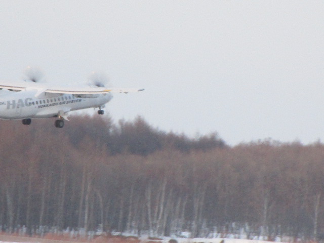 20250301_164806.JPG