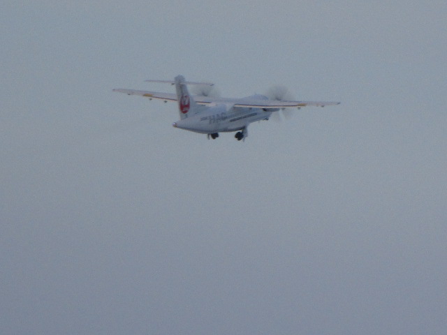 20250301_164834.JPG