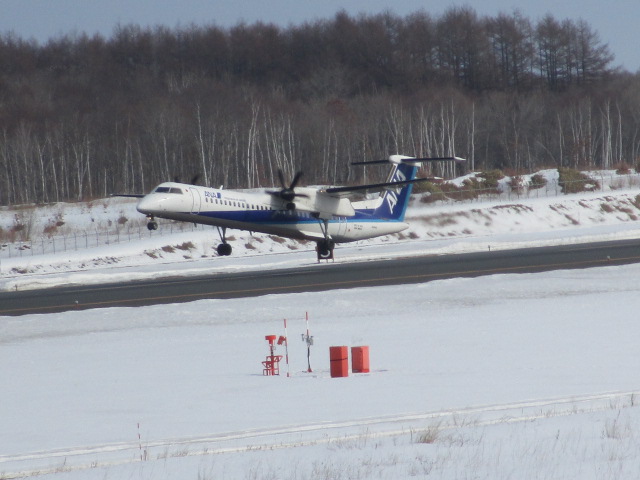 20250302_094725.JPG