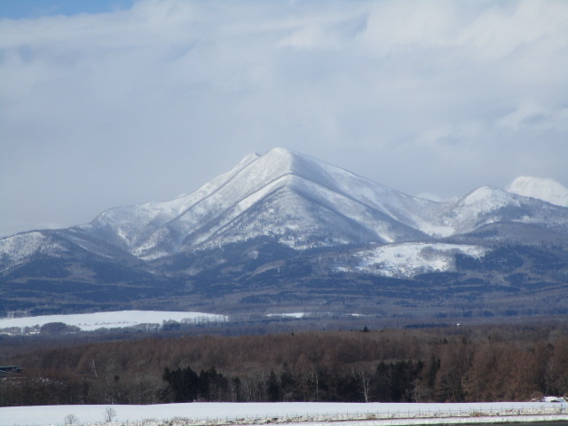 20250302_152452.JPG