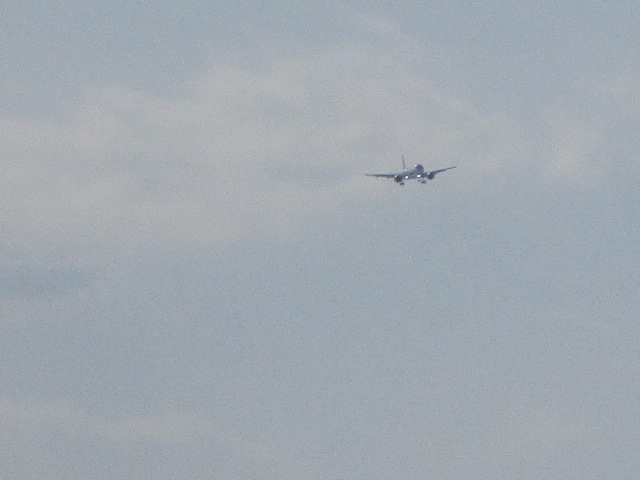 20250302_152520.JPG