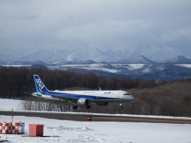 20250302_152541.JPG
