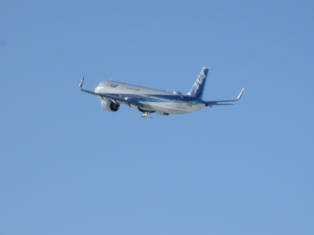 20250302_152745.JPG