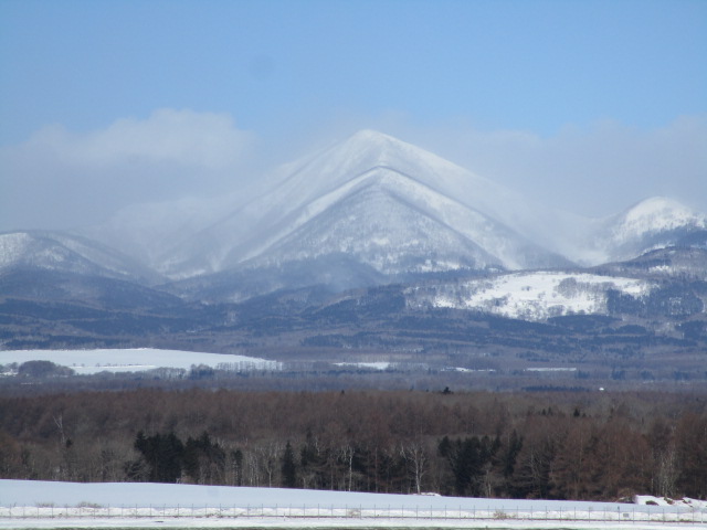 20250303_102847.JPG