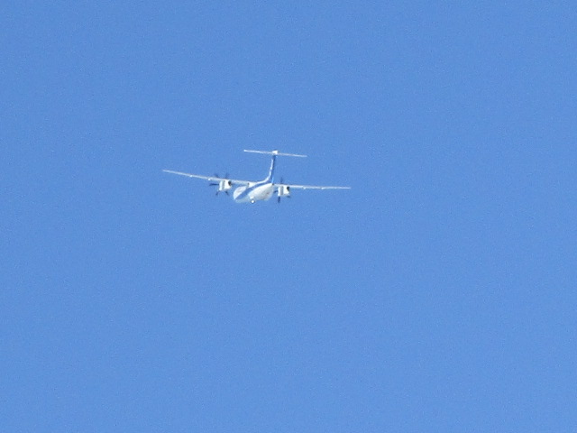 20250303_102934.JPG
